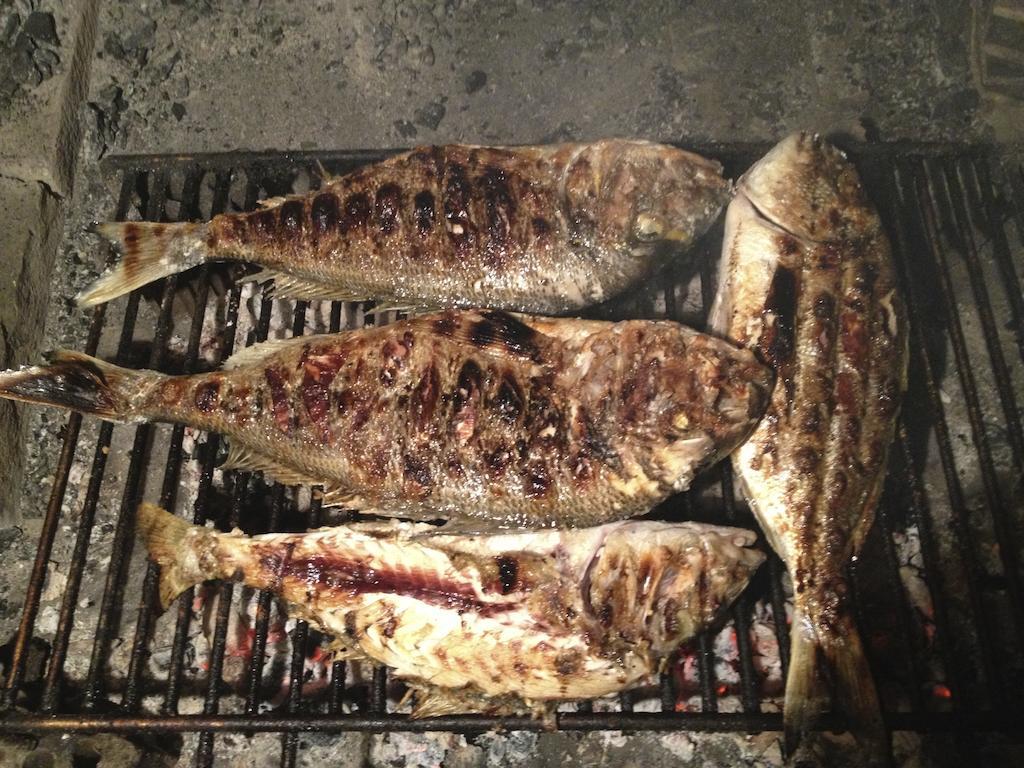 מלון סבטי פיליפ אי ג'קוב Pansion Adria מראה חיצוני תמונה